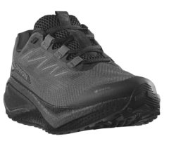 Salomon Aero Blaze 3 GRVL Gore-Tex KADIN AYAKKABI