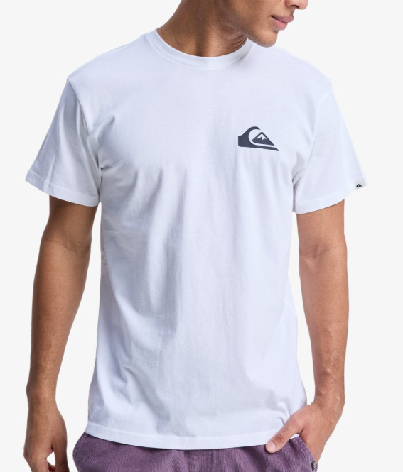 QUIKSILVER EV MINI LOGO SS ERKEK T-SHIRT