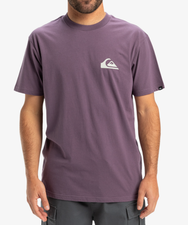 QUIKSILVER EV MINI LOGO SS ERKEK T-SHIRT