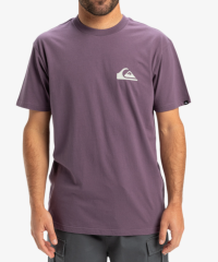 QUIKSILVER EV MINI LOGO SS ERKEK T-SHIRT