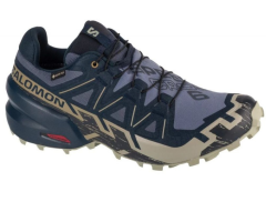 Salomon Speedcross 6 Gore-Tex Patika Koşu Ayakkabısı ERKEK