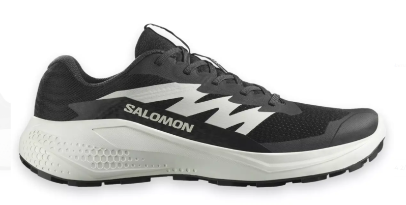 SALOMON ALPHAGLIDE ERKEK OUTDOOR AYAKKABI