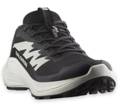 SALOMON ALPHAGLIDE ERKEK OUTDOOR AYAKKABI