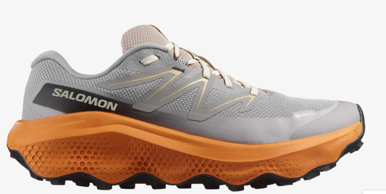 SALOMON ULTRA FLOW 2 GORE-TEX ERKEK KOŞU VE YÜRÜYÜŞ AYAKKABISI