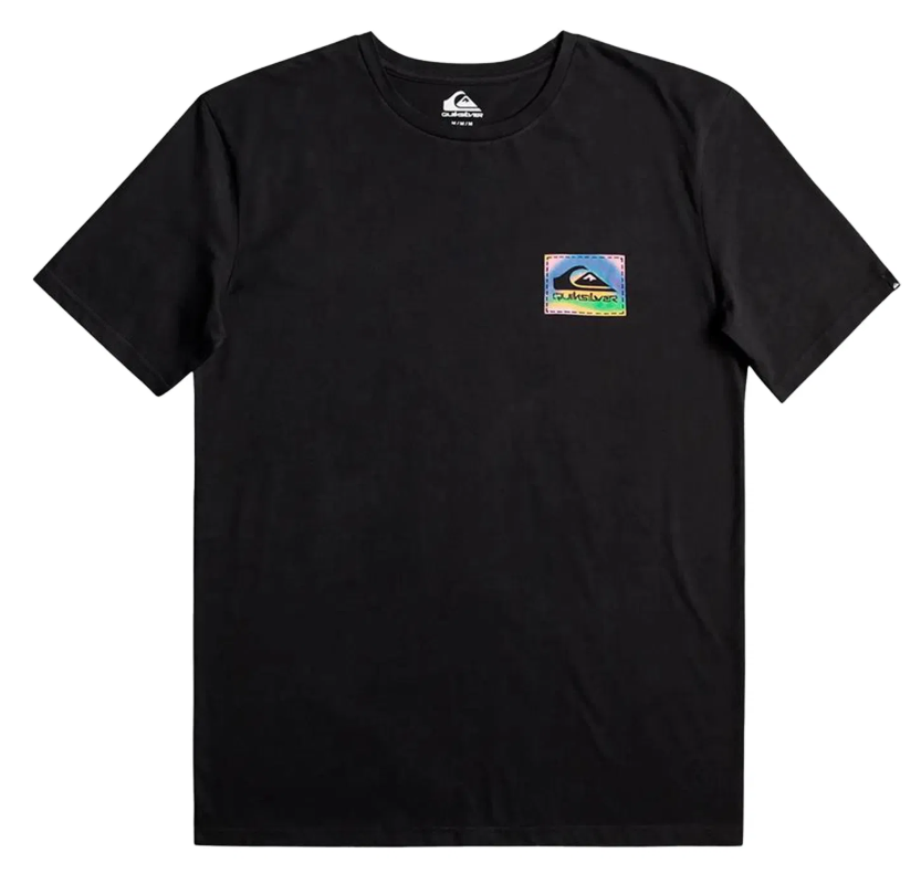 Quiksilver Erkek Tişört Colour Flow Siyah