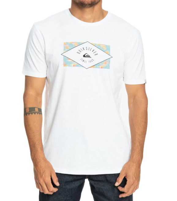 QUIKSILVER CIRCLEDLINE M TEES ERKEK T-SHIRT